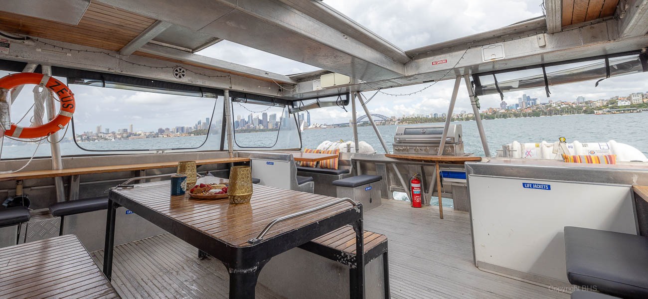 Ocean Life catamaran rear view
